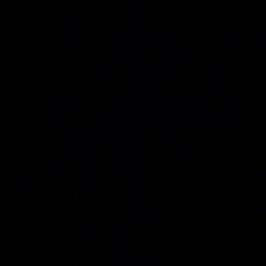 Meet your Posher, Bailey